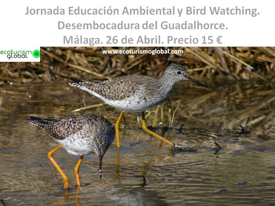 http://ecoturismoglobal.com/Ruta-educativa-Paraje-natural-Guadalhorce-MALAGA