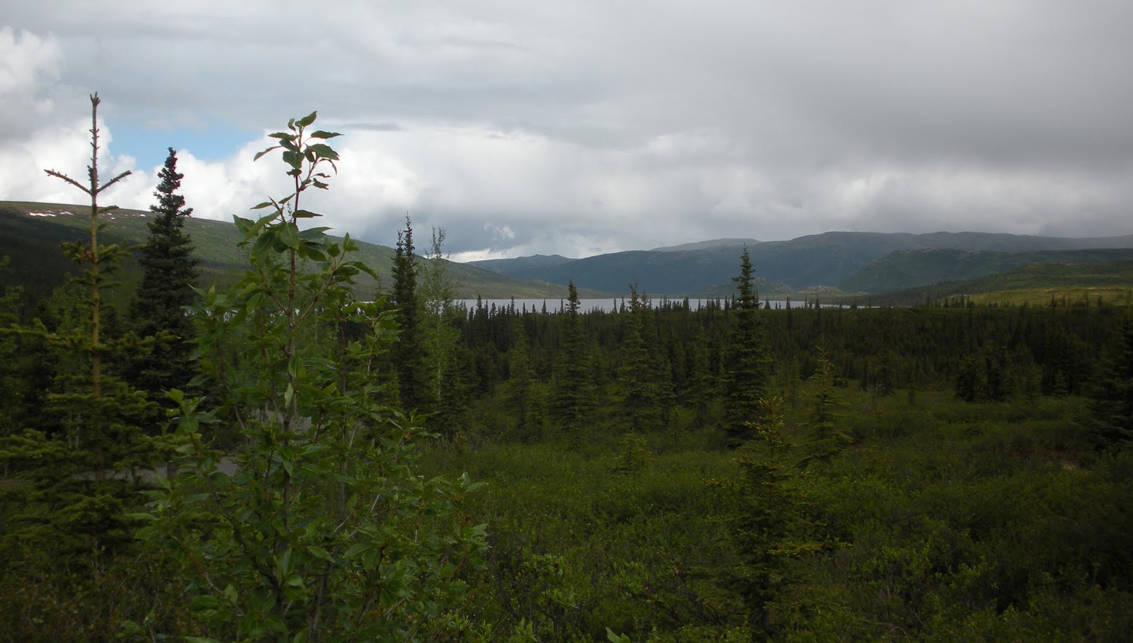 Wonder Lake Campground