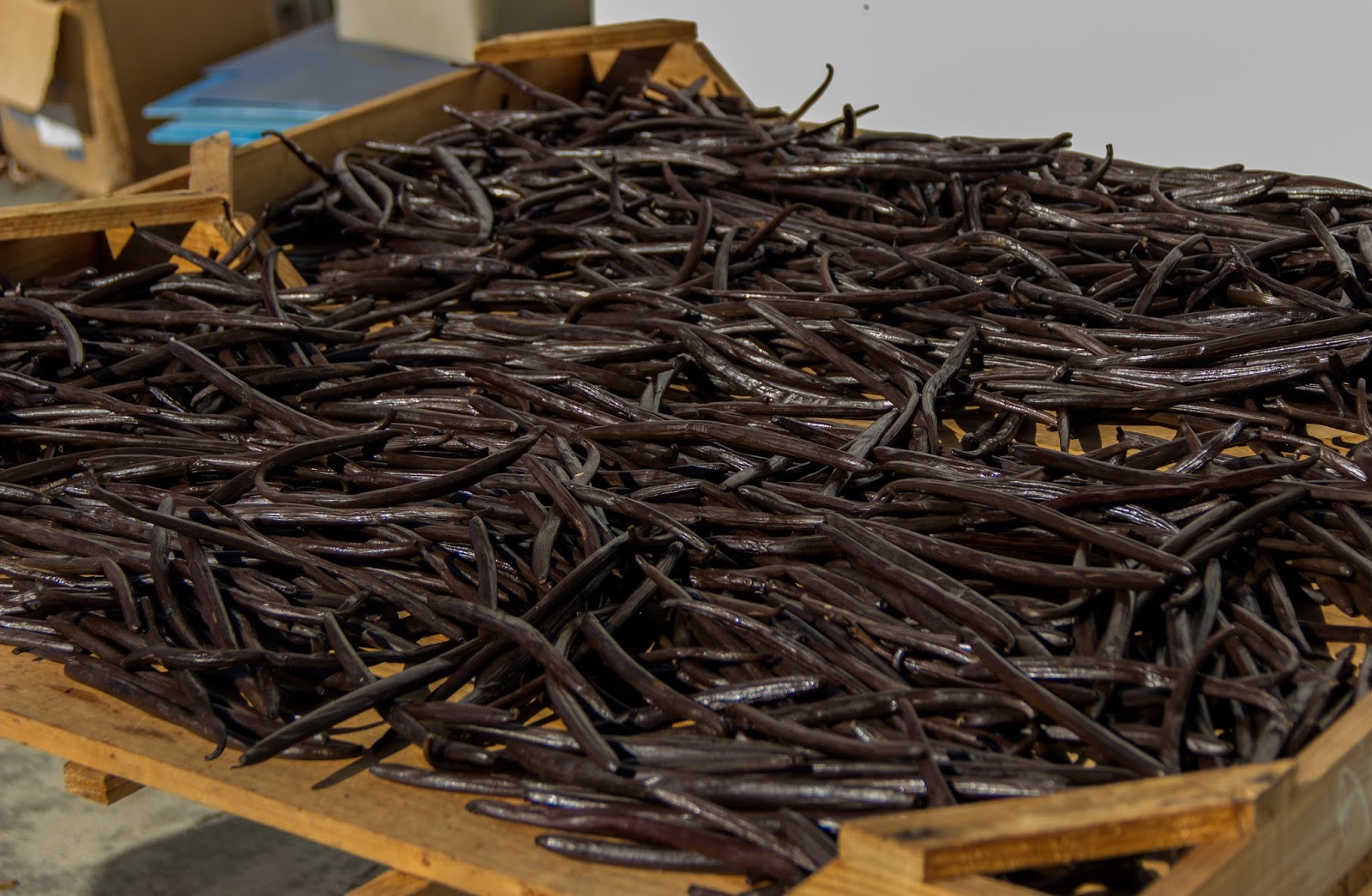 La Réunion V.D. La vanilleraie Sainte Suzanne