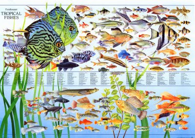 aquaticszone list of freshwater