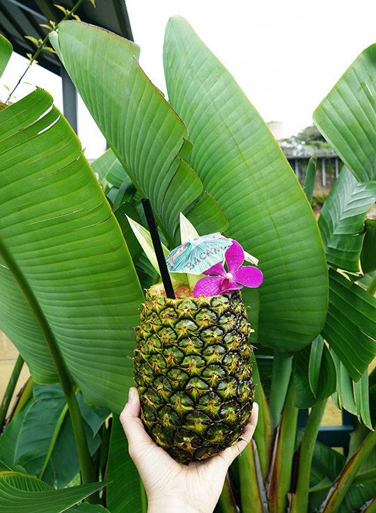 Gastronomista Party Tricks Part 1 BACARDÍ Pineapples!