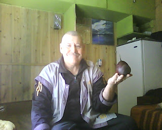 свекла vkusniogorod – свекла