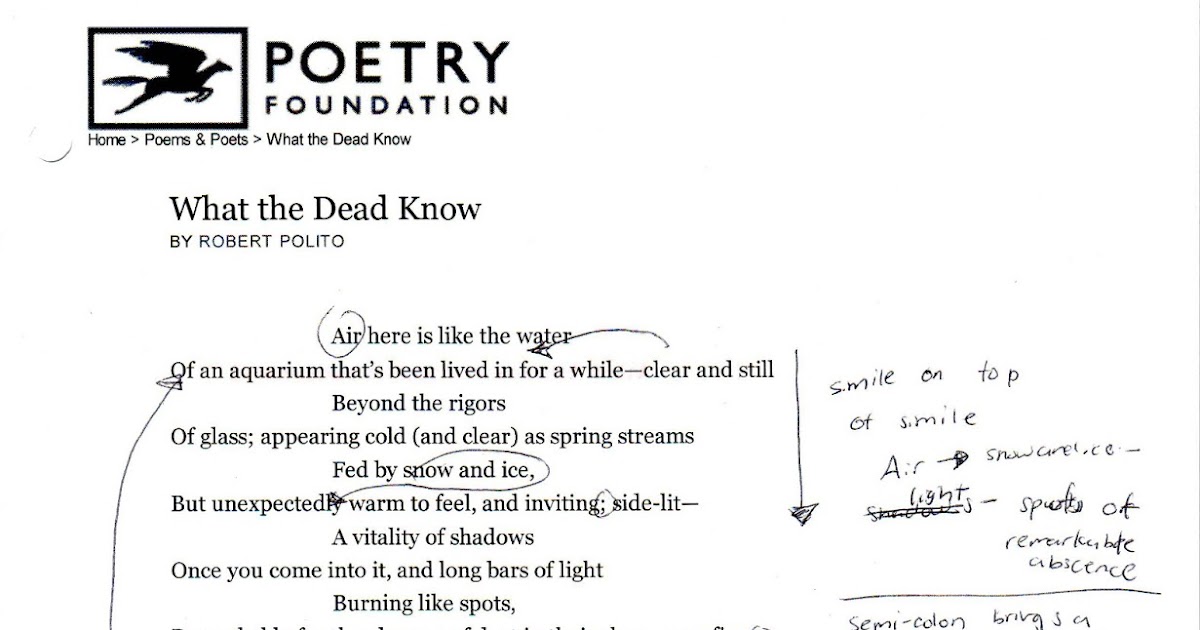 Robert polito free essay shame 06 image