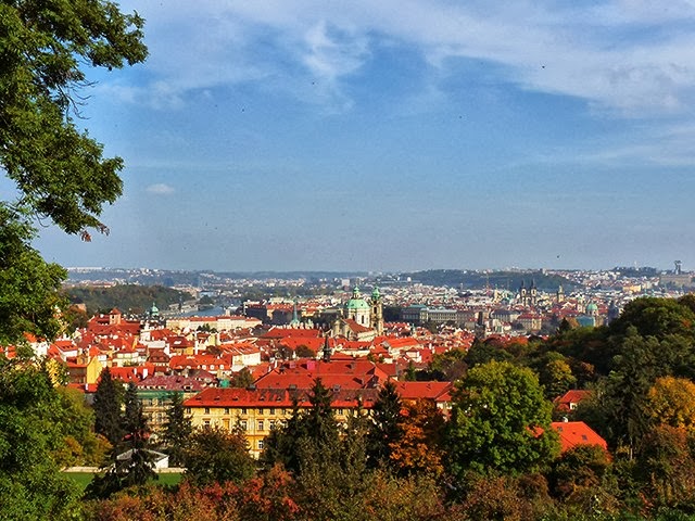 Obrázek