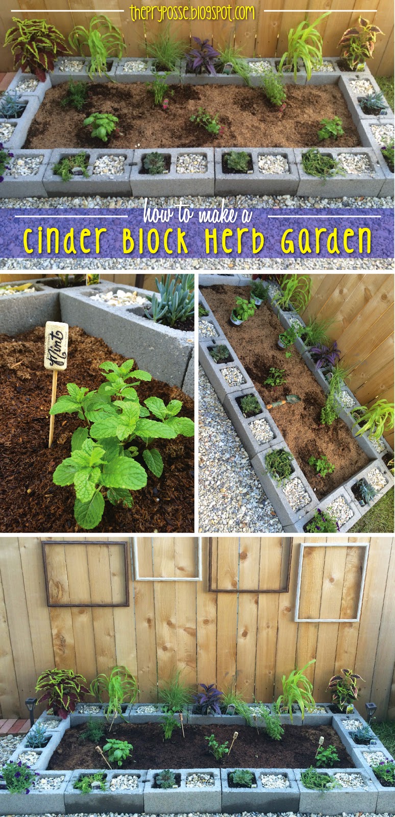 The Pry Posse: DIY Cinder Block Herb Garden