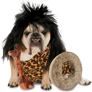 صور كلاب مضحكة Most-funny-dog-costumes+(23)