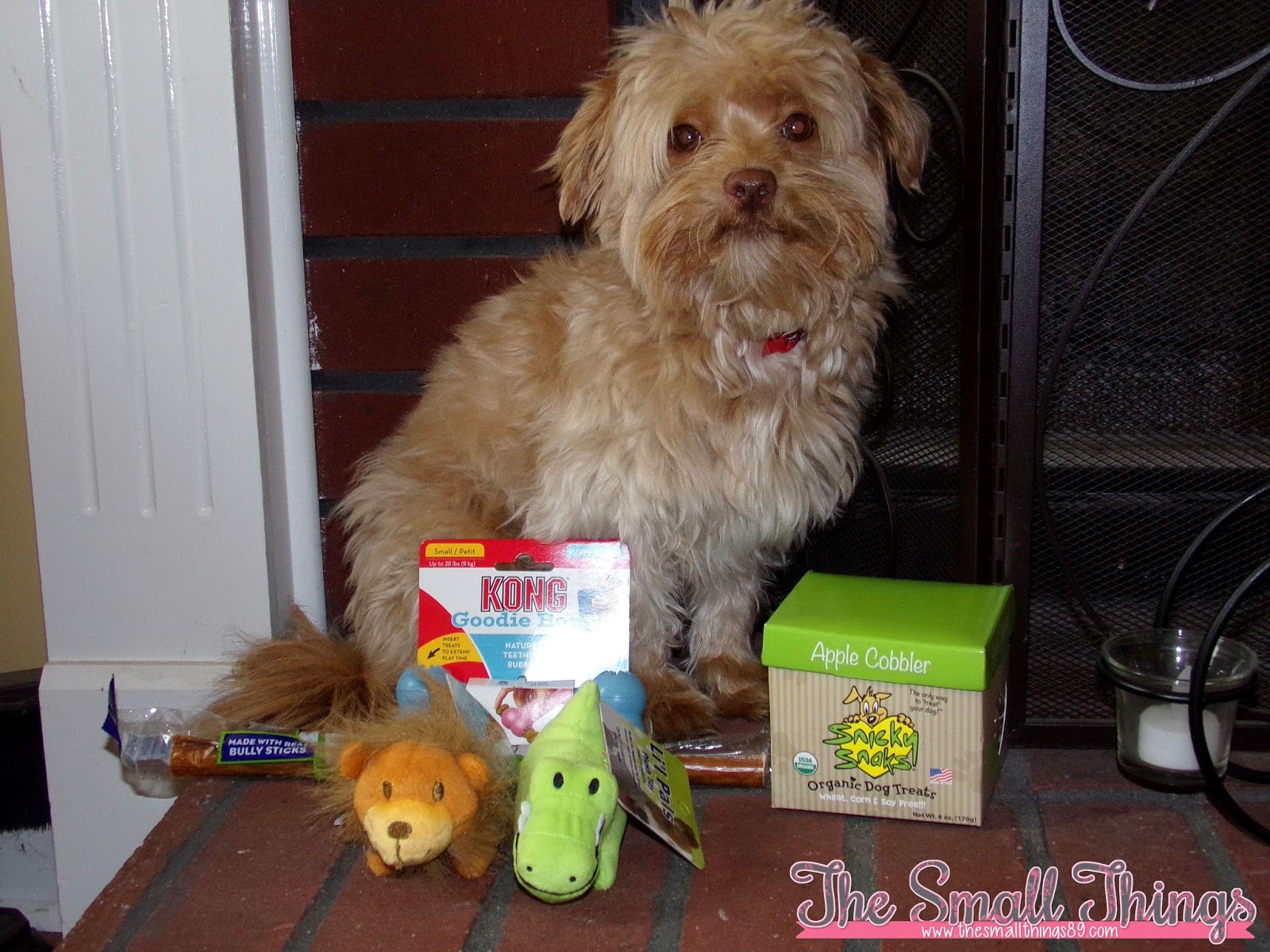 Bullymake A Dog Subscription Box For Power Chewers!