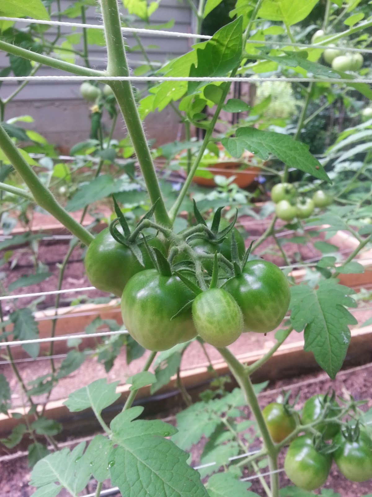 [Insert Something Creative]