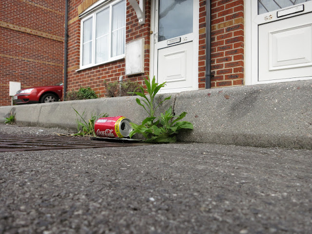 Coca-cola can in kerb