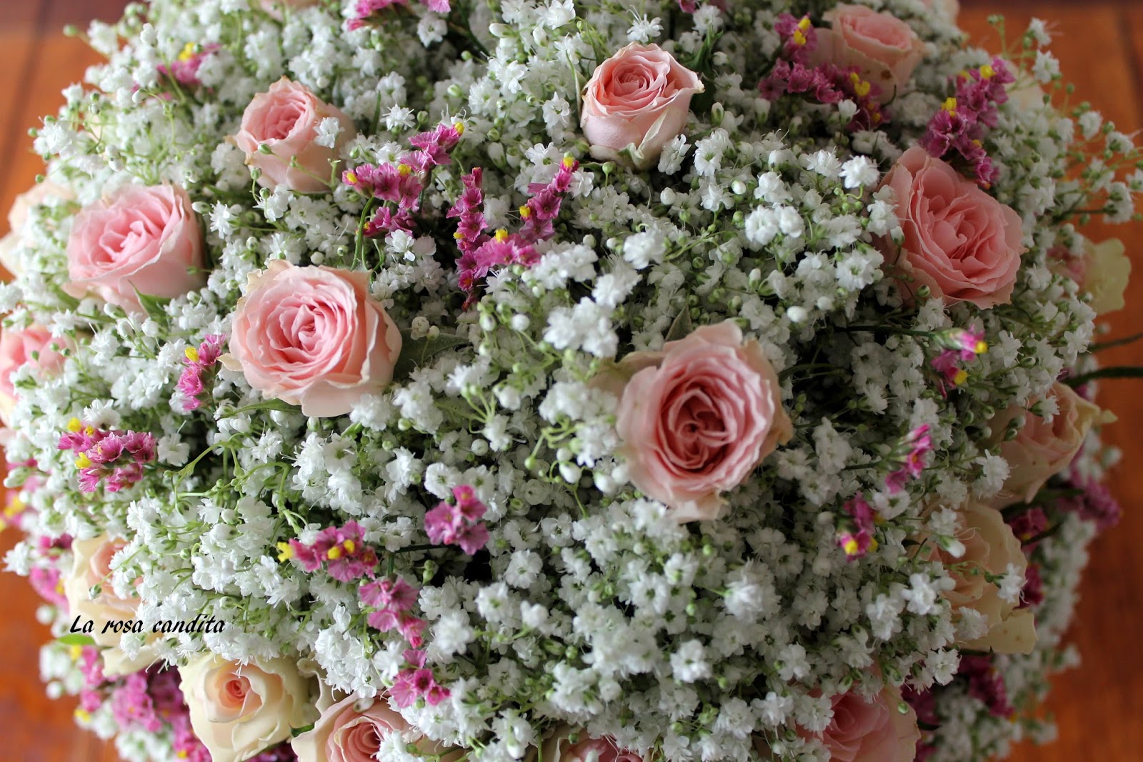 La rosa candita