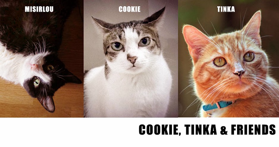 Cookie, Tinka and Friends
