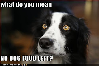 dog+food.jpg