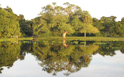Pantanal Natureza do Pantanal