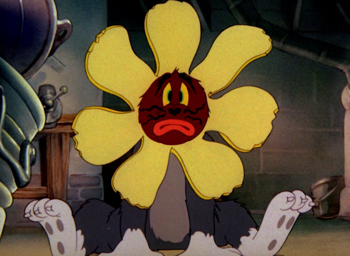 tom jerry pictures quot the yankee doodle mouse quot tom and jerry the night before christmas
