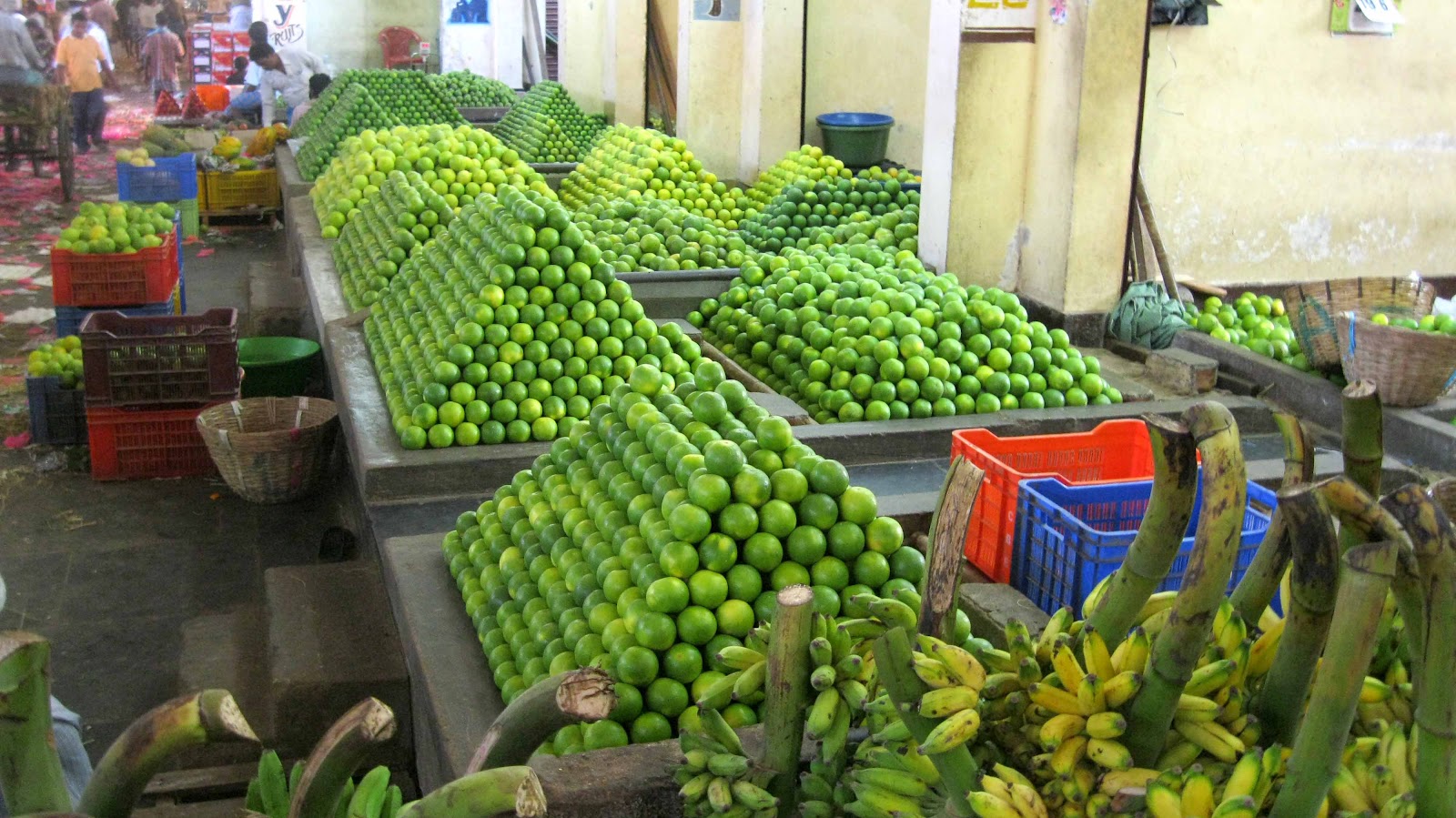 Malhar Chennai Koyambedu Market