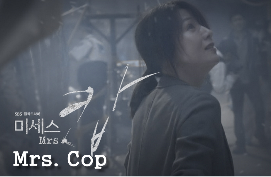 2015韓劇 Mrs. Cop線上看