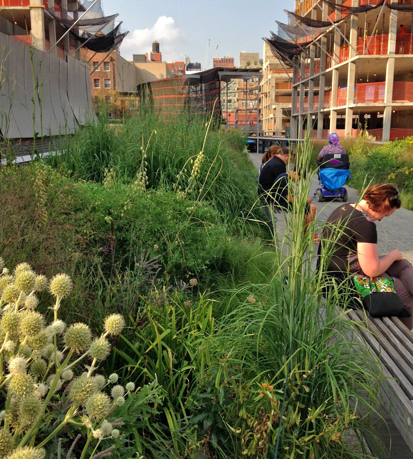 Garden Bytes from the Big Apple