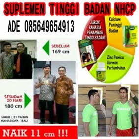 PAKET TINGGI BADAN