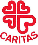 Web de Caritas Bizkaia