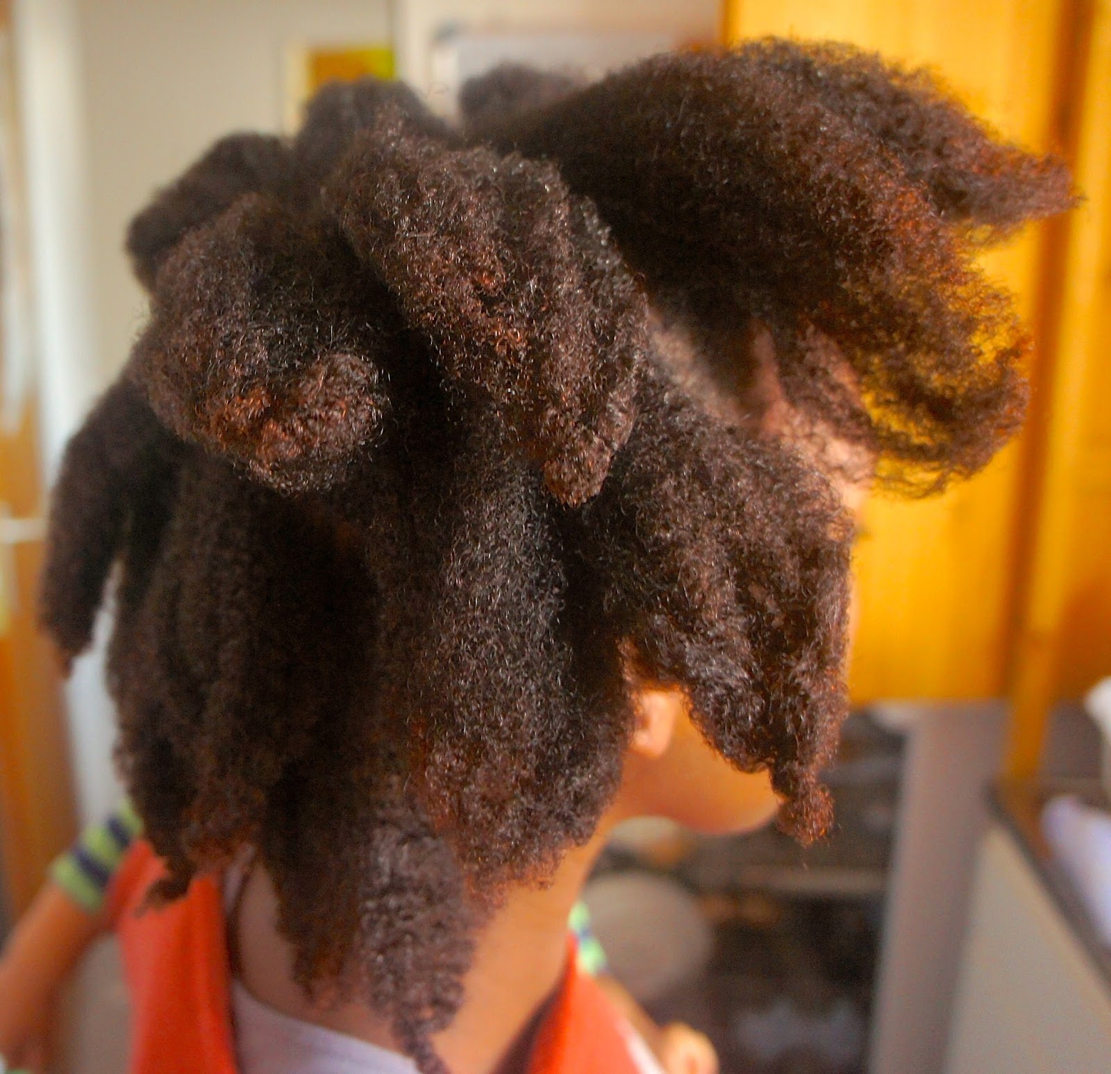 Roots 4 Lia Chunky Twist Out Afro