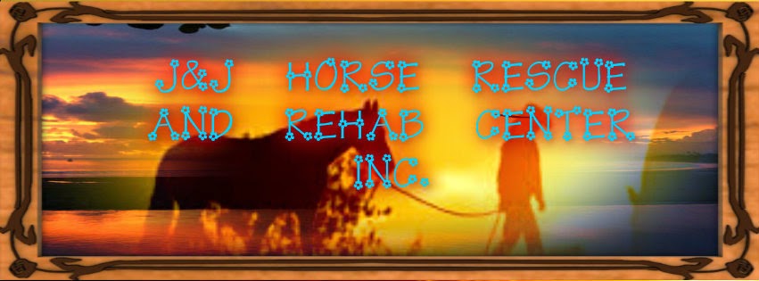 J&J Horse Rescue And Rehab Center Inc.