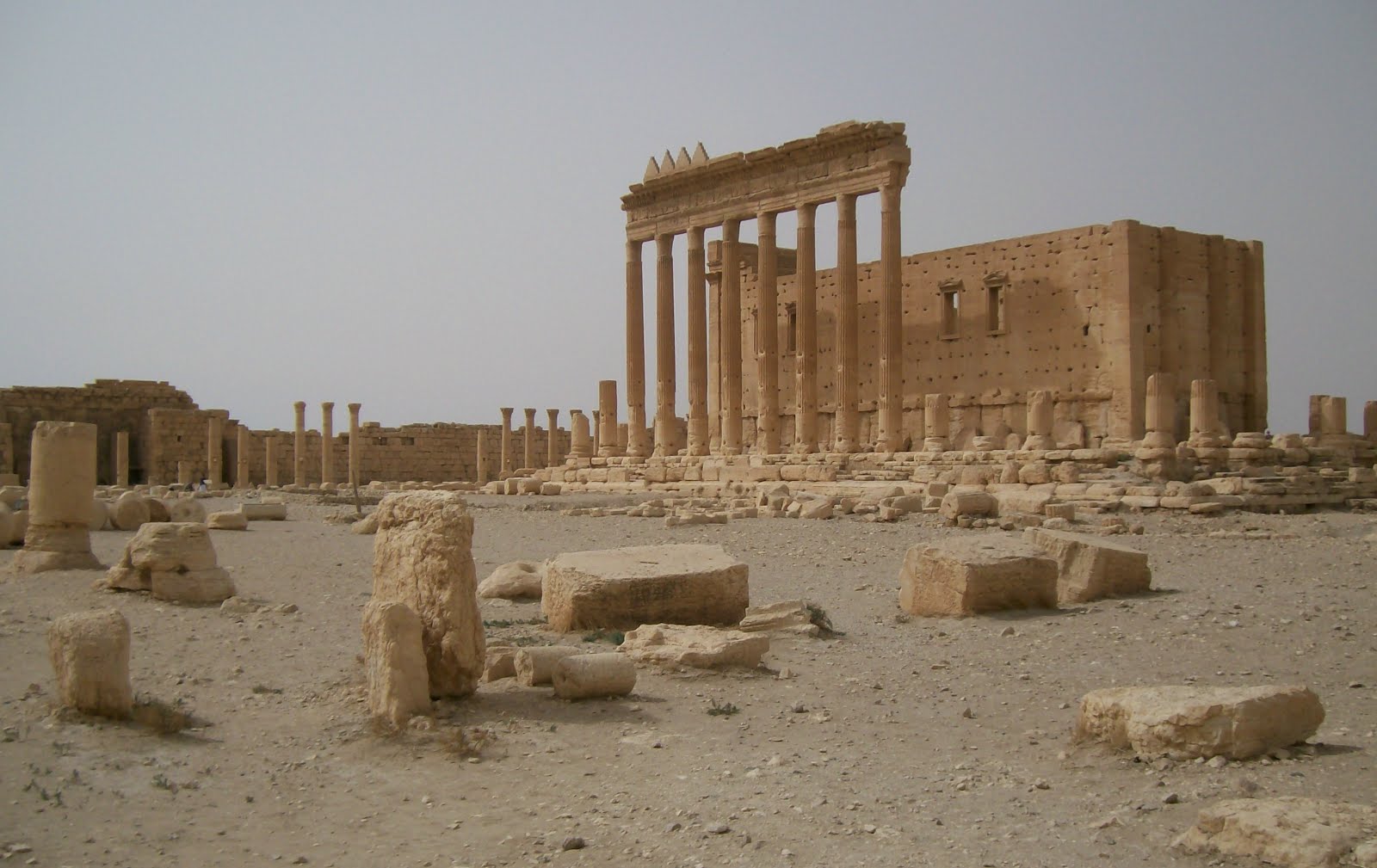 Palmyre - JCL le 26 septembre 2008