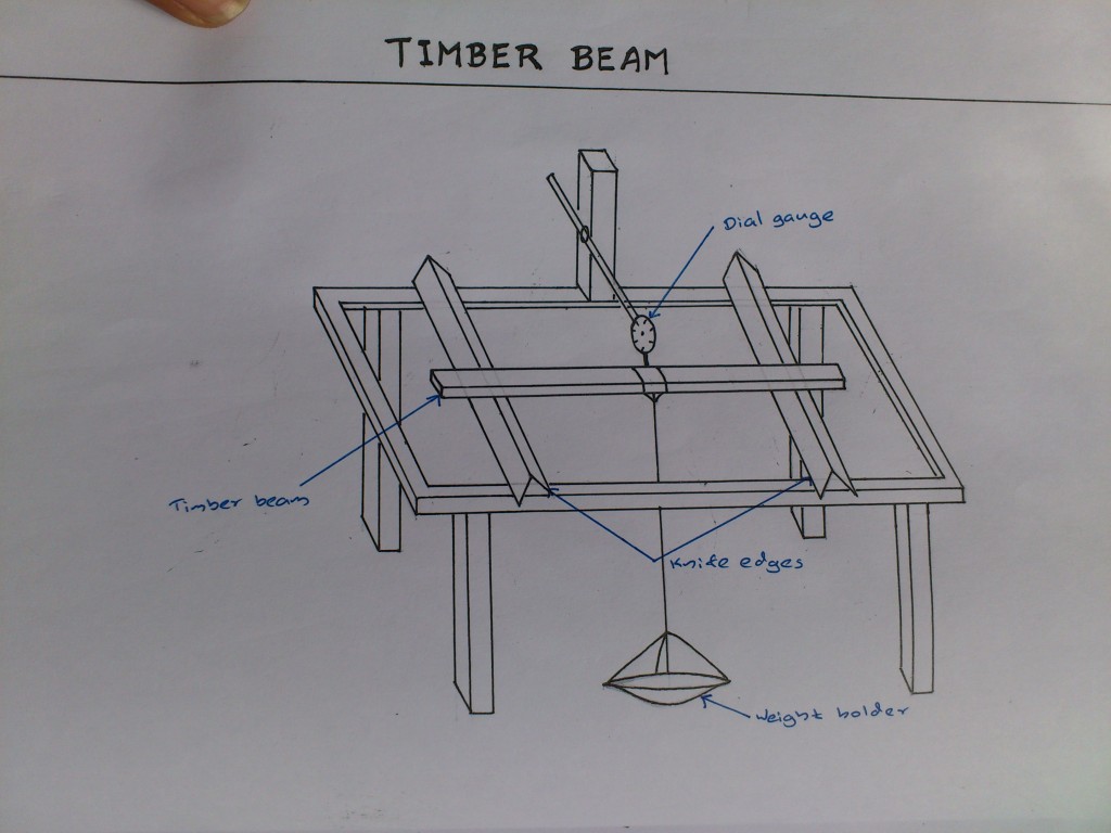 Engineering Practical Deflection of a timber beam.