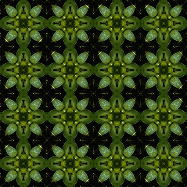 efectos opticos, efectos visuales, Imagenes Efecto Visual, mandalas, patterns, photoshop