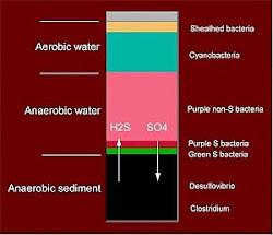 Some useful links