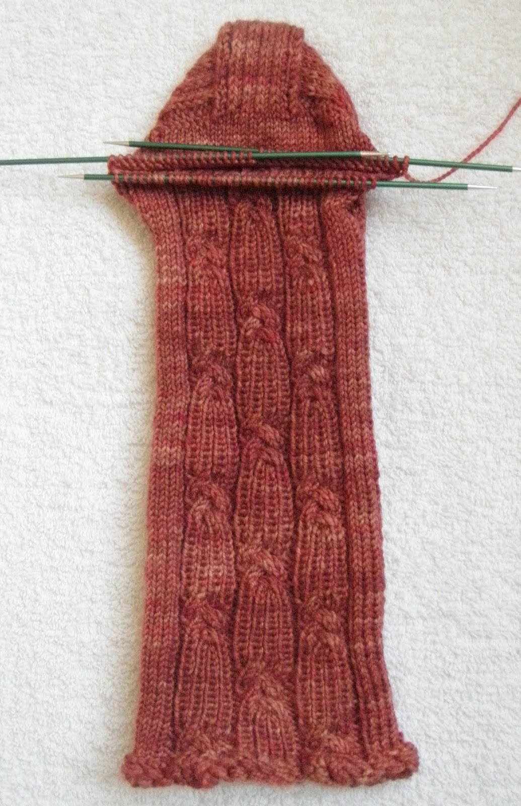 Knot SocksMaking Progress Ann Budd Knits