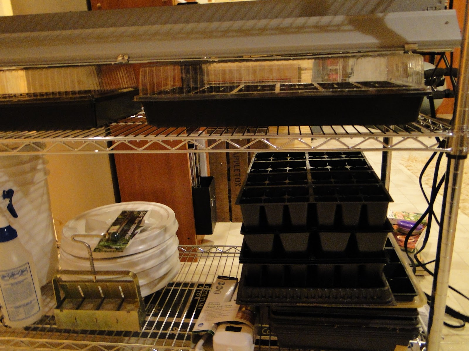 a single feather DoItYourself Grow Light Shelves