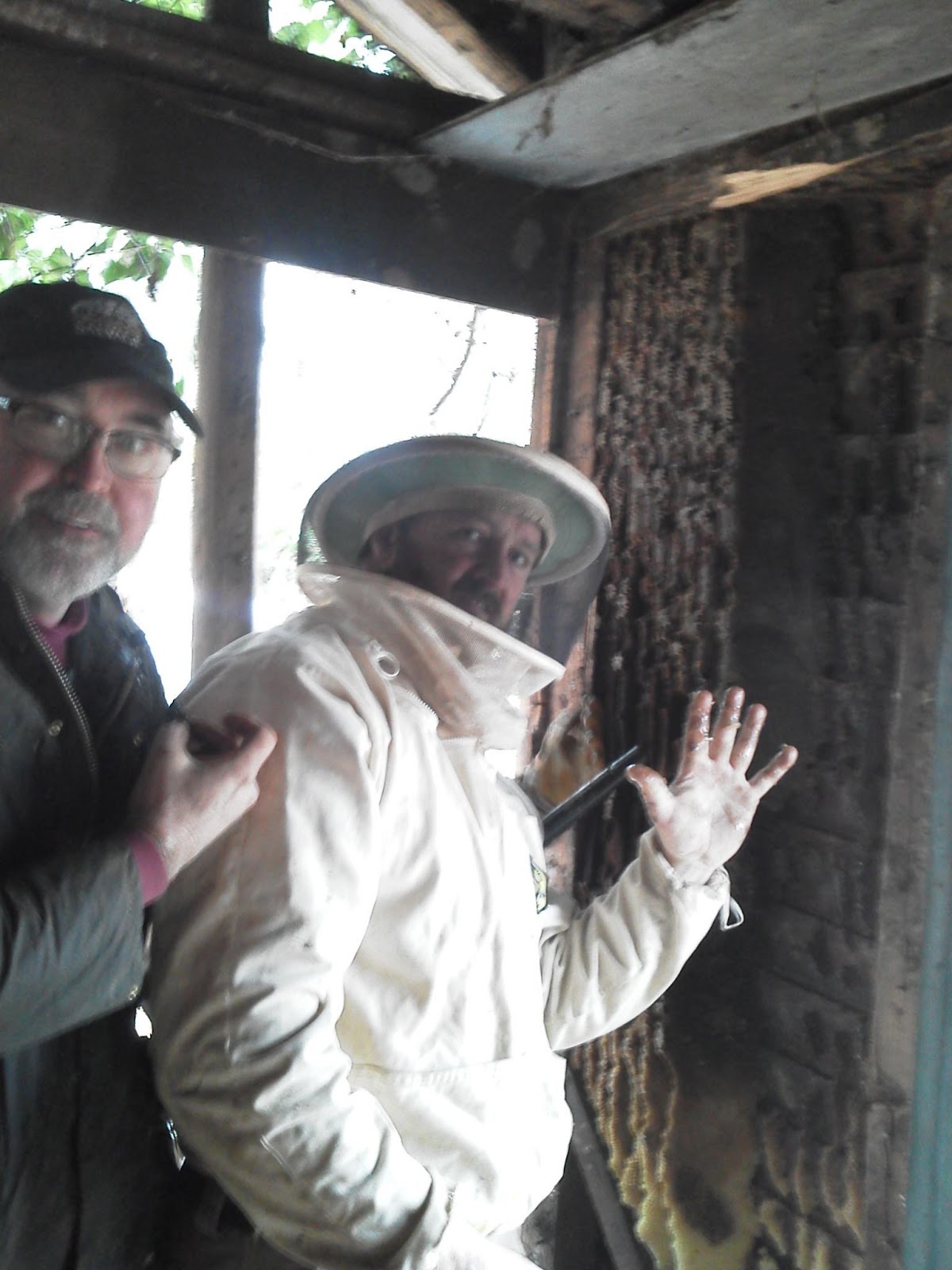 Black Dog Salvage Architectural Antiques & Custom Designs Salvage