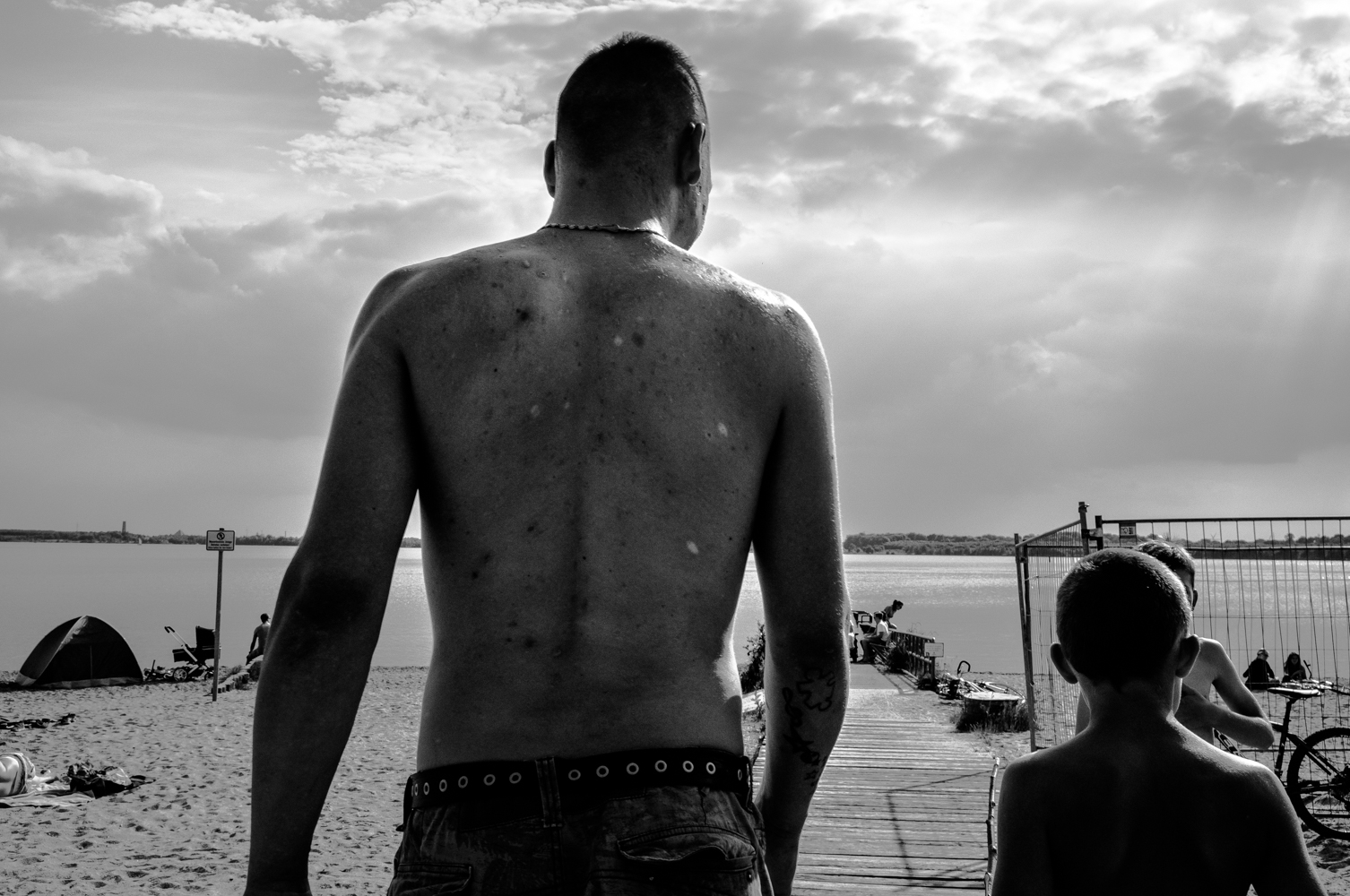 5 Tipps Fur Einen Stressfreien Umzug Mit Hund Loki Der Labrador