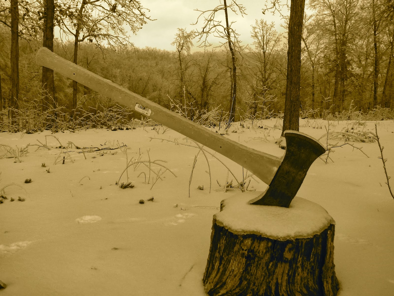 Regular Folks! An Axe To Grind