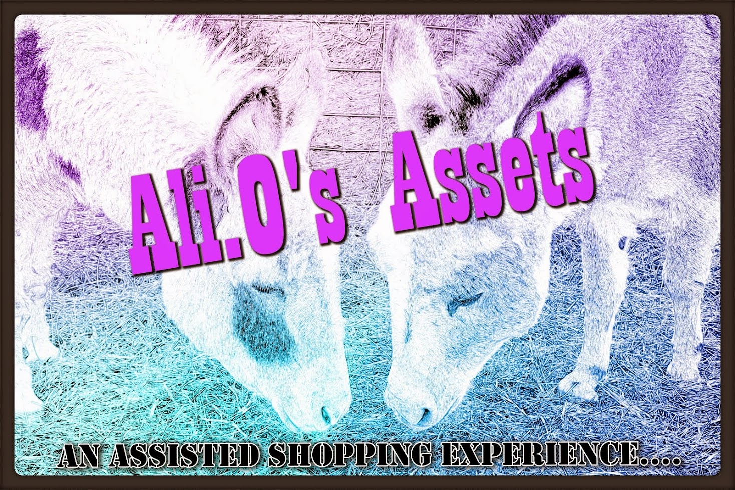 Ali.O's Assets