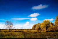 стихи про любовь