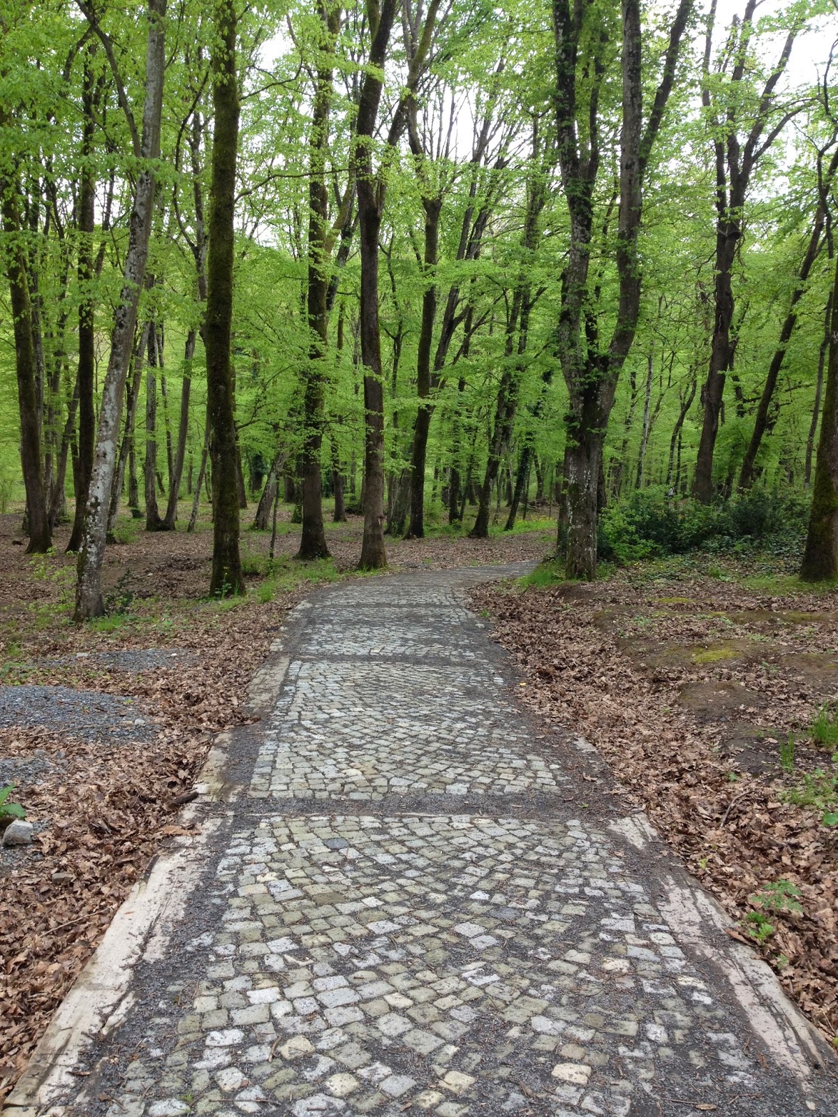 Ipek In Kelebekleri En Sevdigim Yuruyus Rotalari