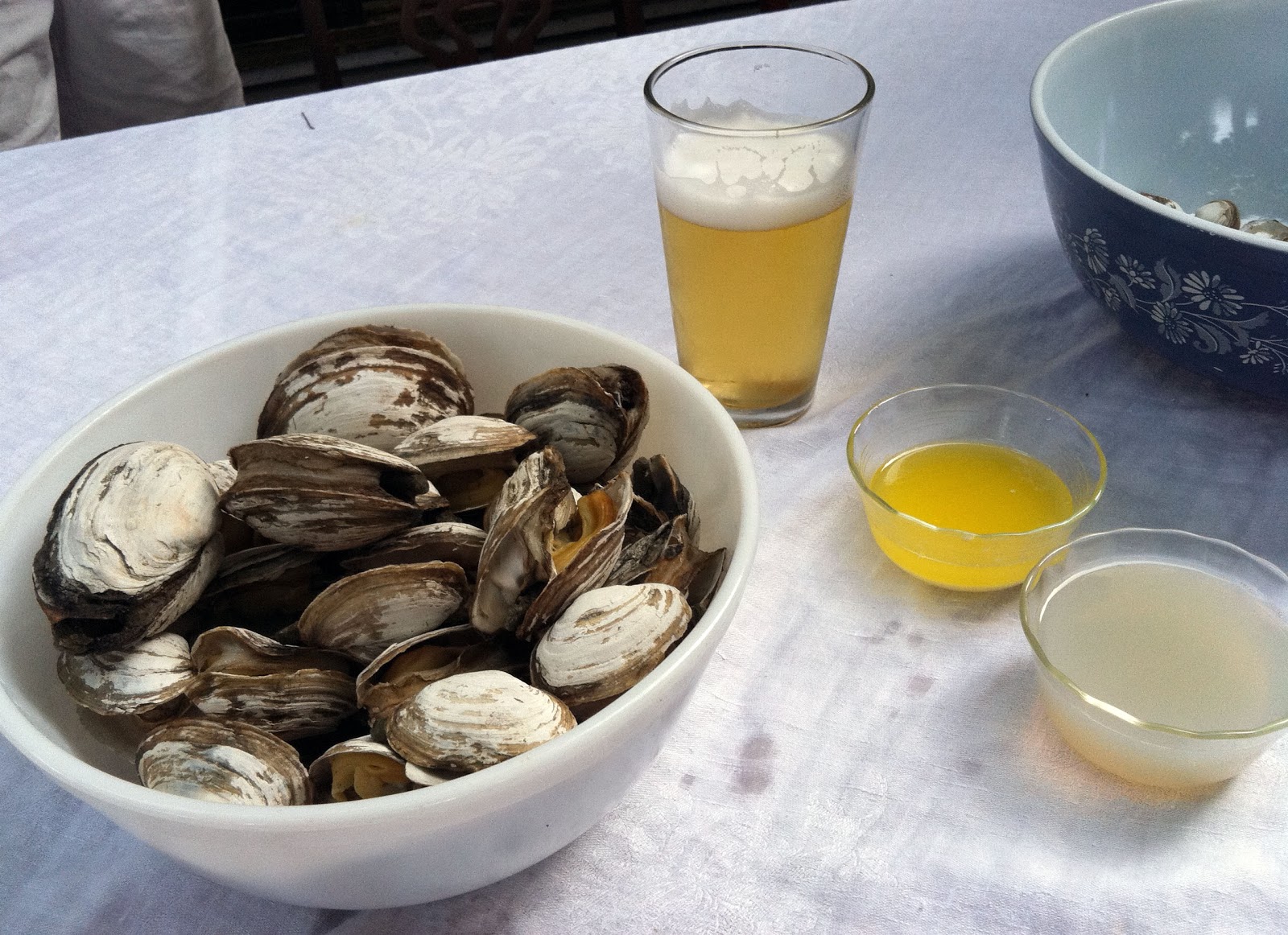 The Connecticut Yankee Steamers