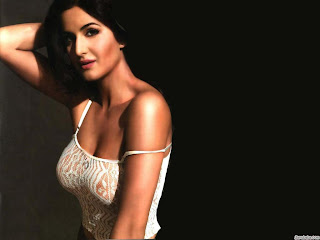 Priyanka Chopra Shari fasion Hot desktop HD wallpapers 2012