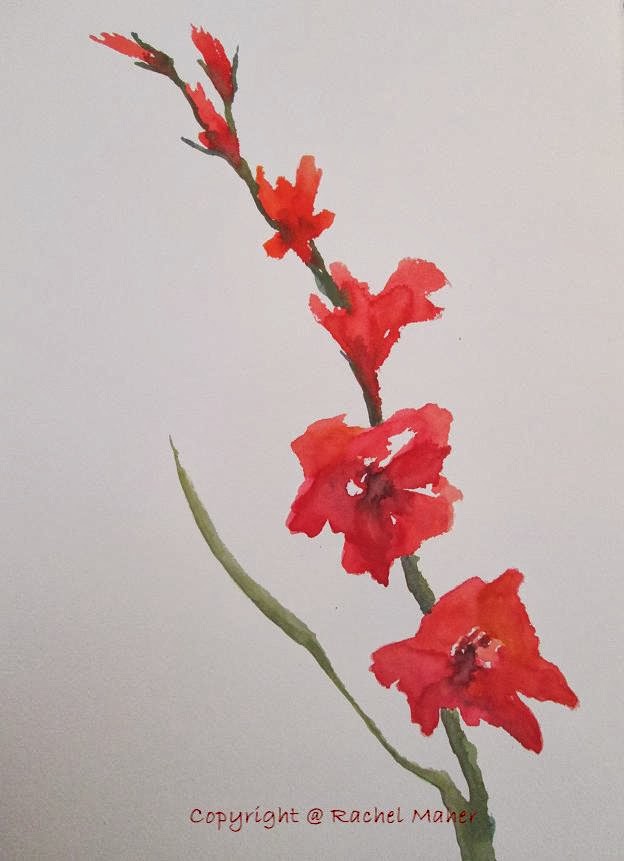 Gladiolas II