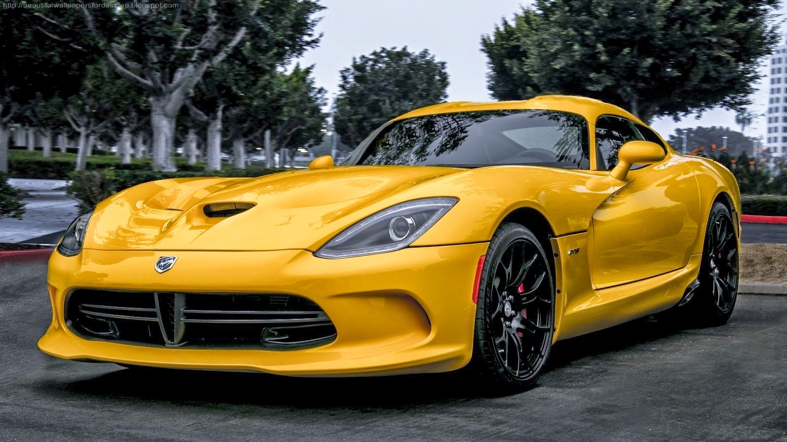 Beautiful Wallpapers: Beautiful Yellow Cars Wallpapers Desktop