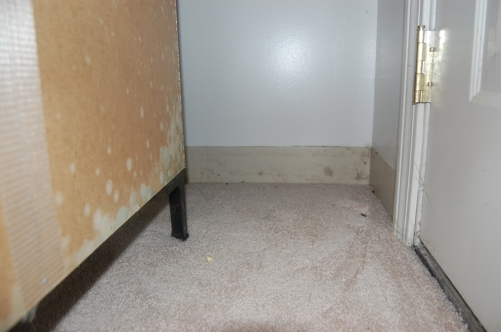 Mold Mold affected furniture