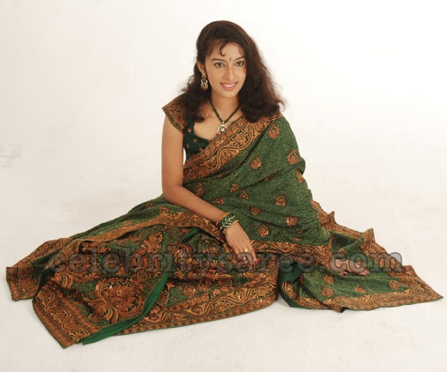 Cap Sleeves Blouse Embroidery Saree Blouse Patterns