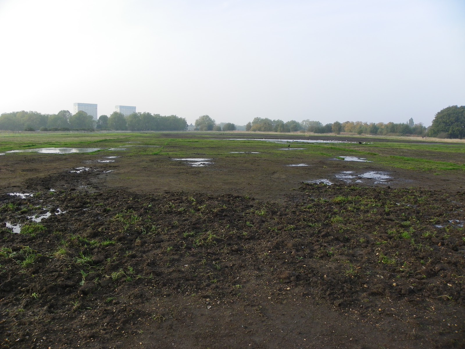 Random Blowe Why Hold Firework Night On Ravaged Site of Olympic Police