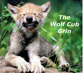 Wolf cub grin