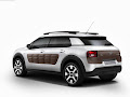 C4 Cactus