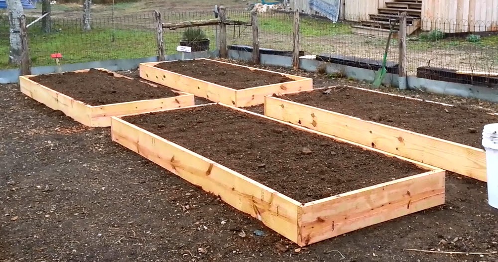 Daddykirbs Garden: Building & Filling Raised Beds