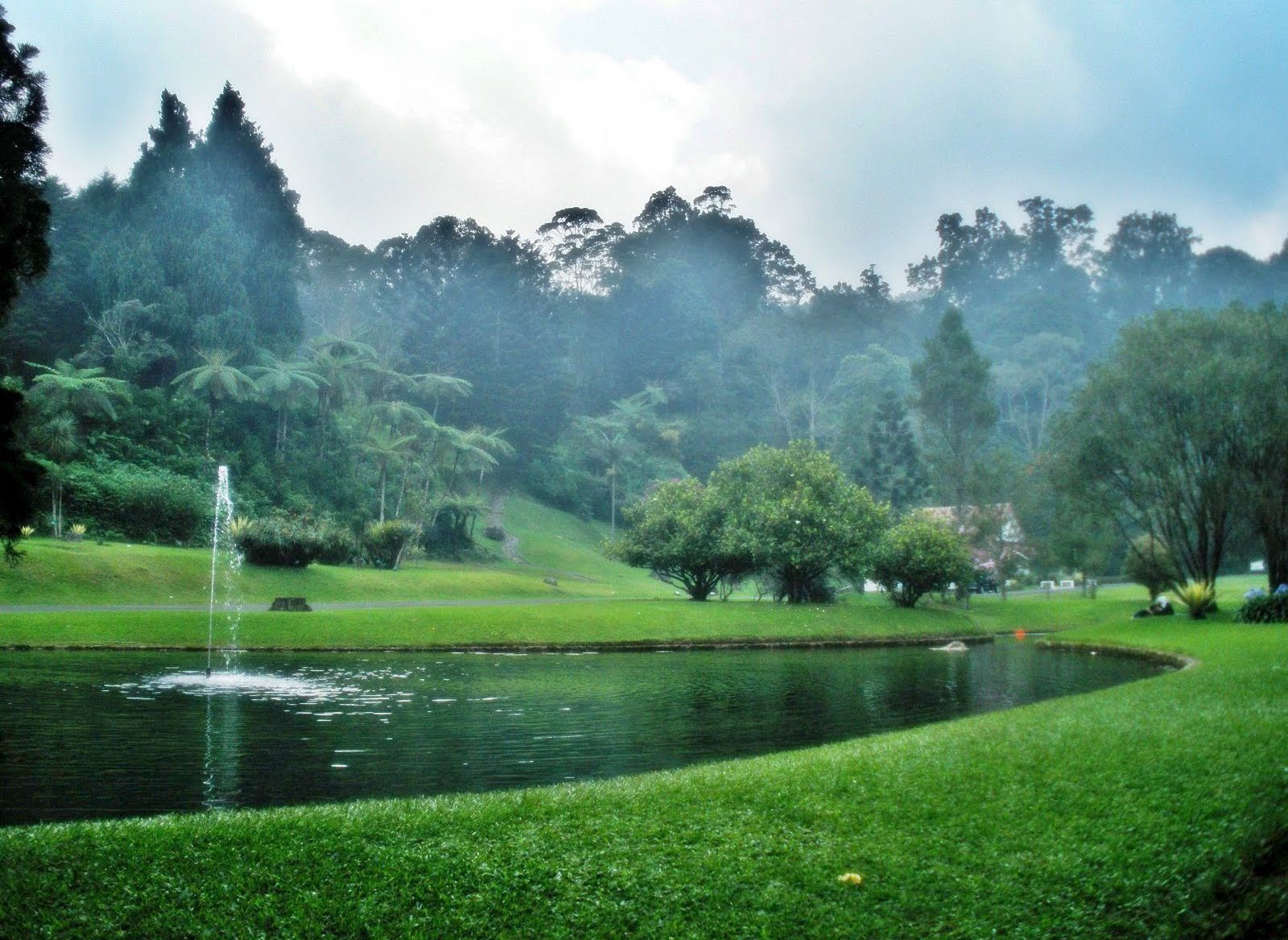 Taman Wisata Kebun Raya Cibodas