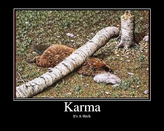 Karma.bmp