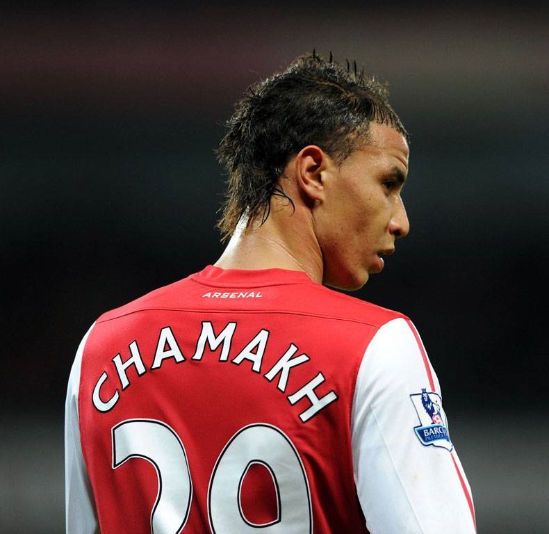 Marouane Chamakh has completed his move to Crystal Palace from Arsenal
